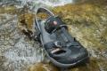 TEVA��ϪЬ����