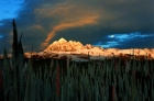 ������Ӱ��