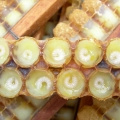 ʮ����俹˥����ҩ