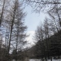 2011��2��12��ѩҹϮ��ӹ���