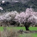 ���ǳ�û��ע�⡿