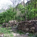 2011.5.16��ç��֮��