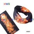 HWBͷ��