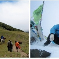 �Ĵ������ʵ�5276M