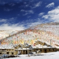 2011�괨����Ӱ�Ż���գ�һ��