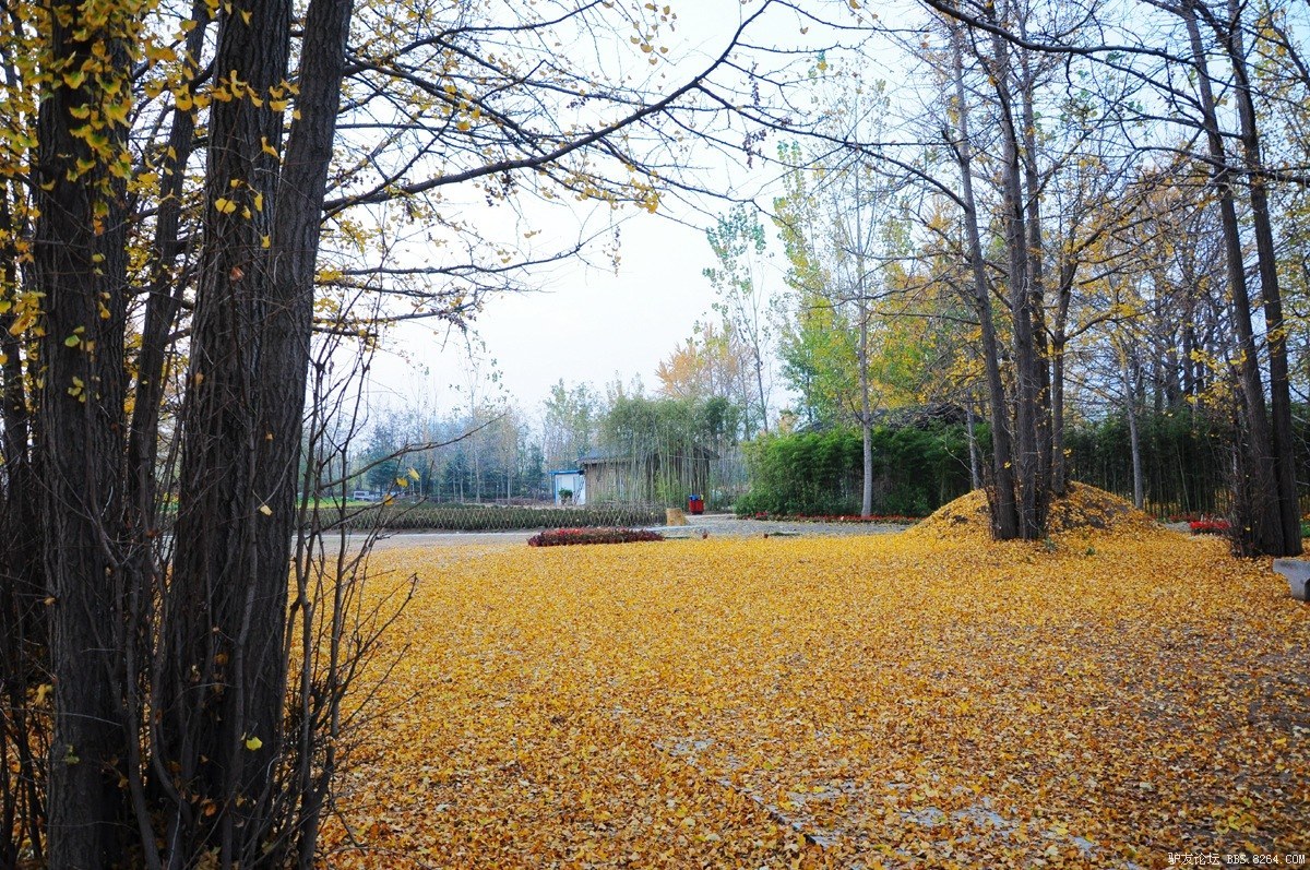 DSC_5868.jpg