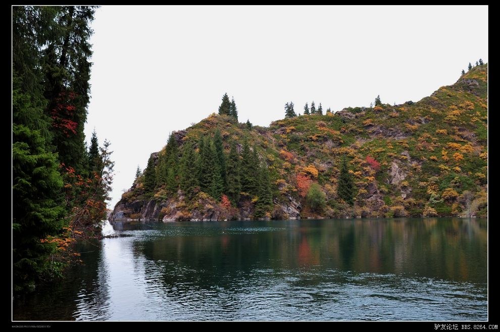 DSC_1626.jpg