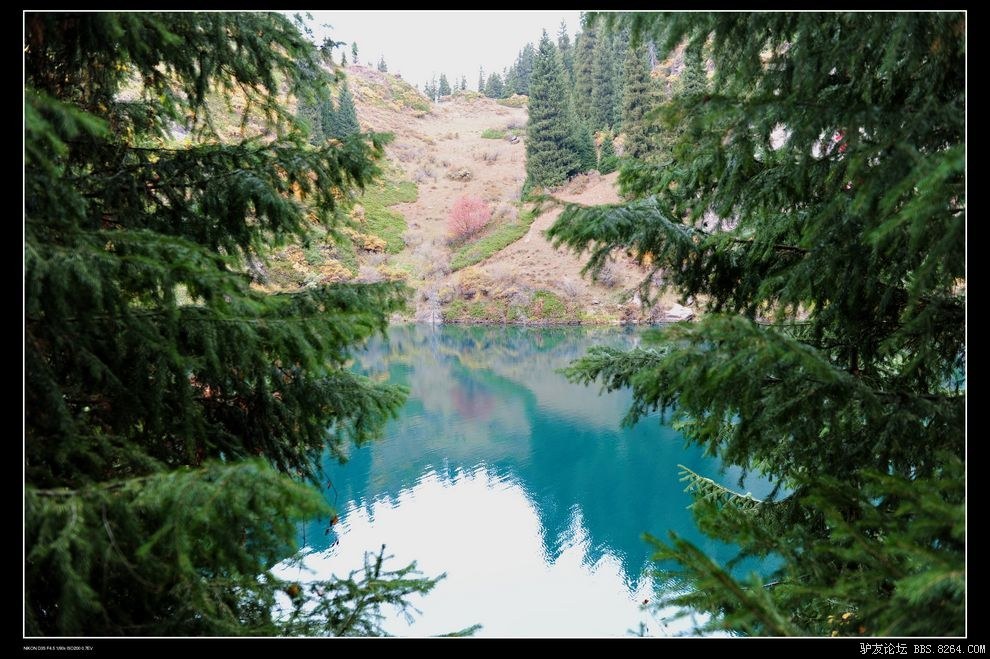 DSC_1631.jpg