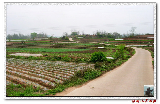DSCN3229.jpg