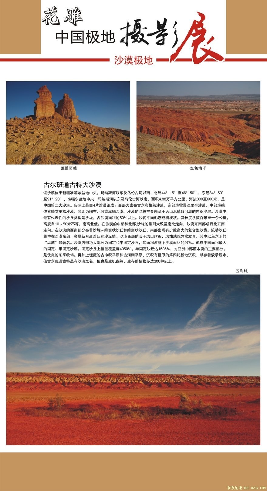 ��Ӱչ-ɳĮ����2.jpg