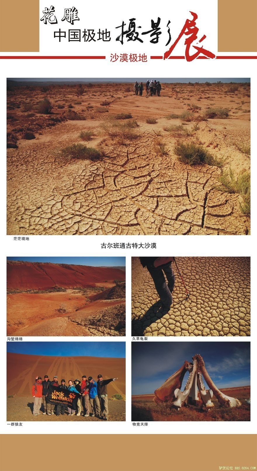��Ӱչ-ɳĮ����3.jpg