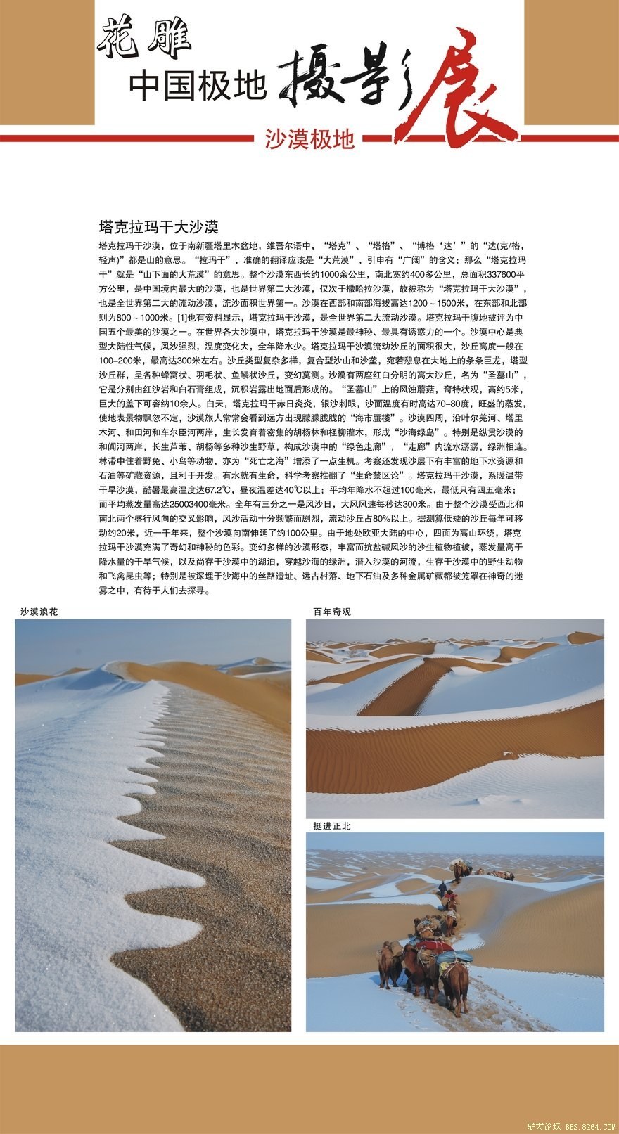 ��Ӱչ-ɳĮ����4.jpg