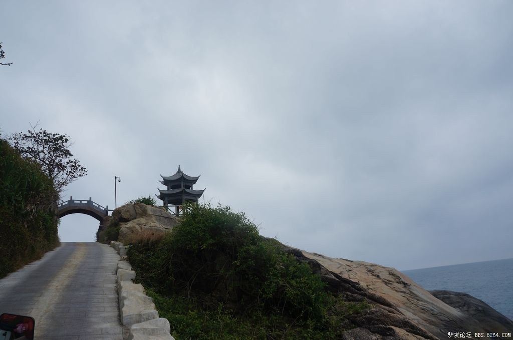 DSC05866.jpg