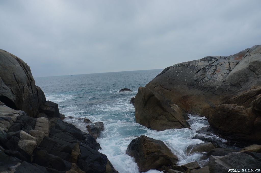 DSC05870.jpg