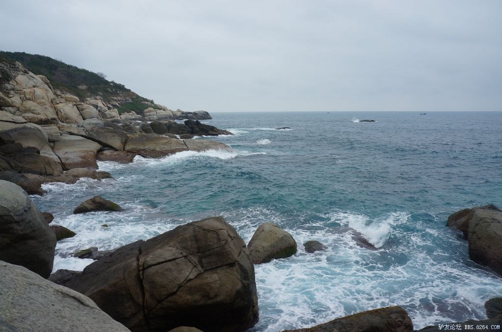 DSC05873.jpg