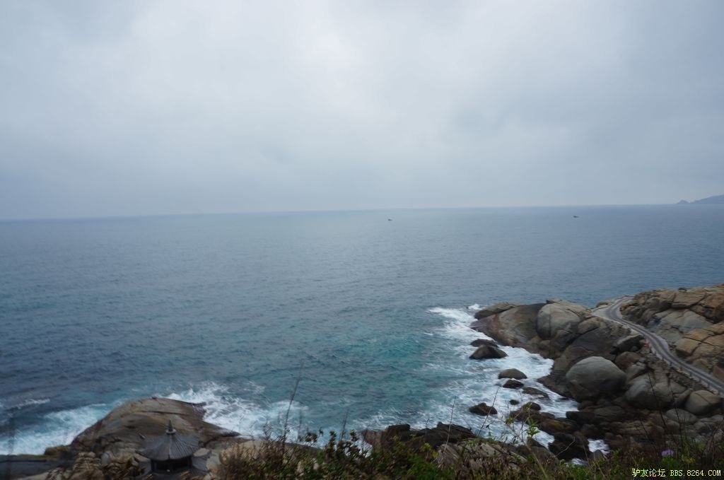 DSC05878.jpg