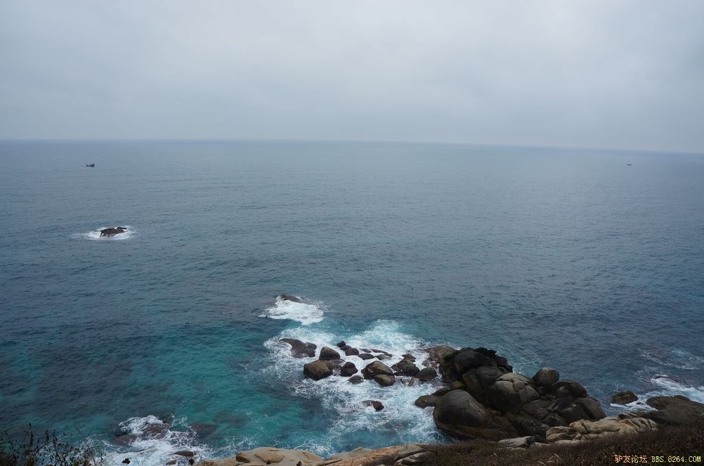 DSC05881.jpg