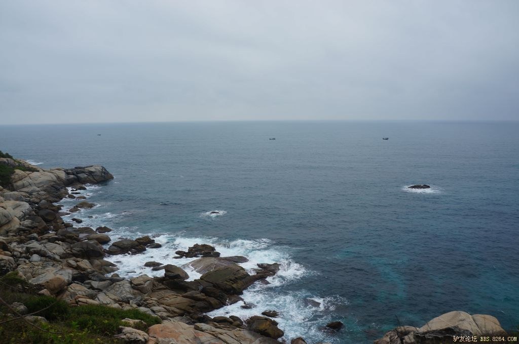 DSC05882.jpg