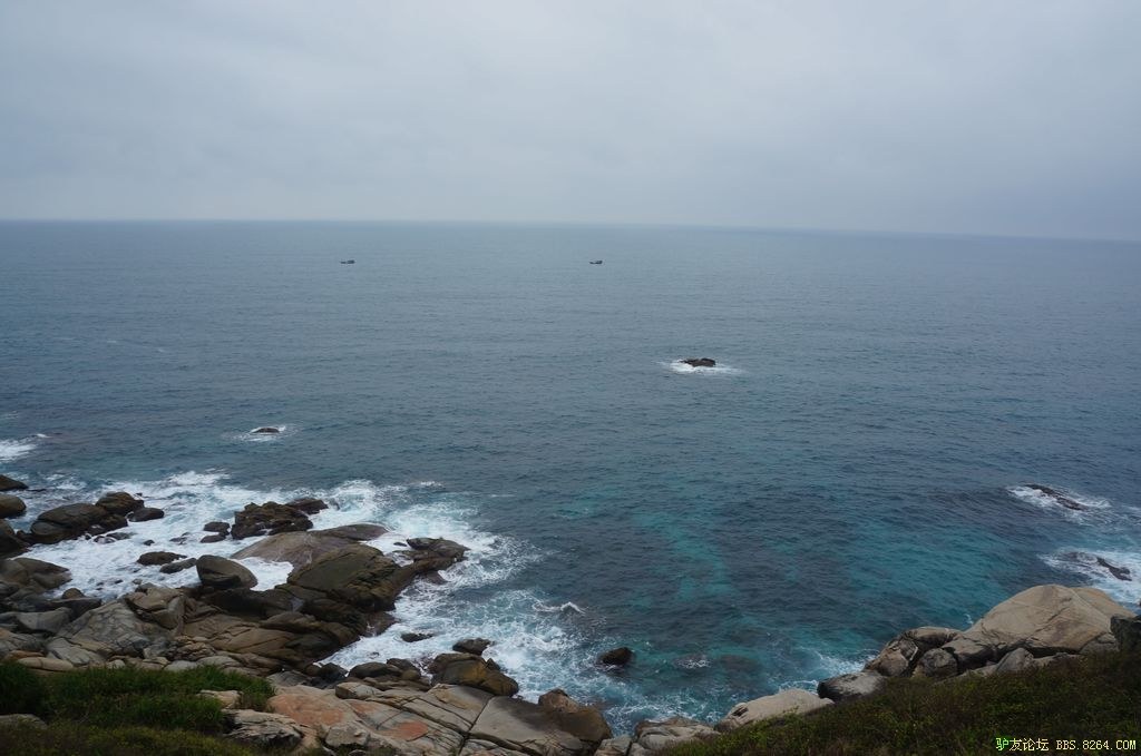 DSC05883.jpg