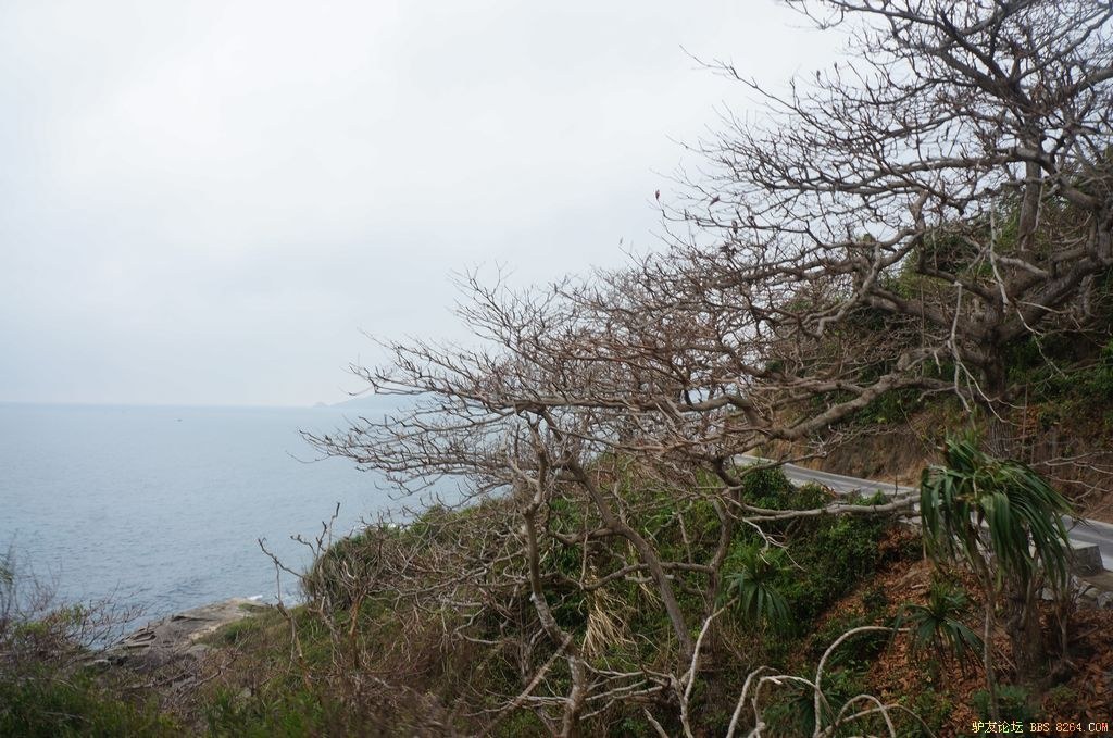 DSC05886.jpg