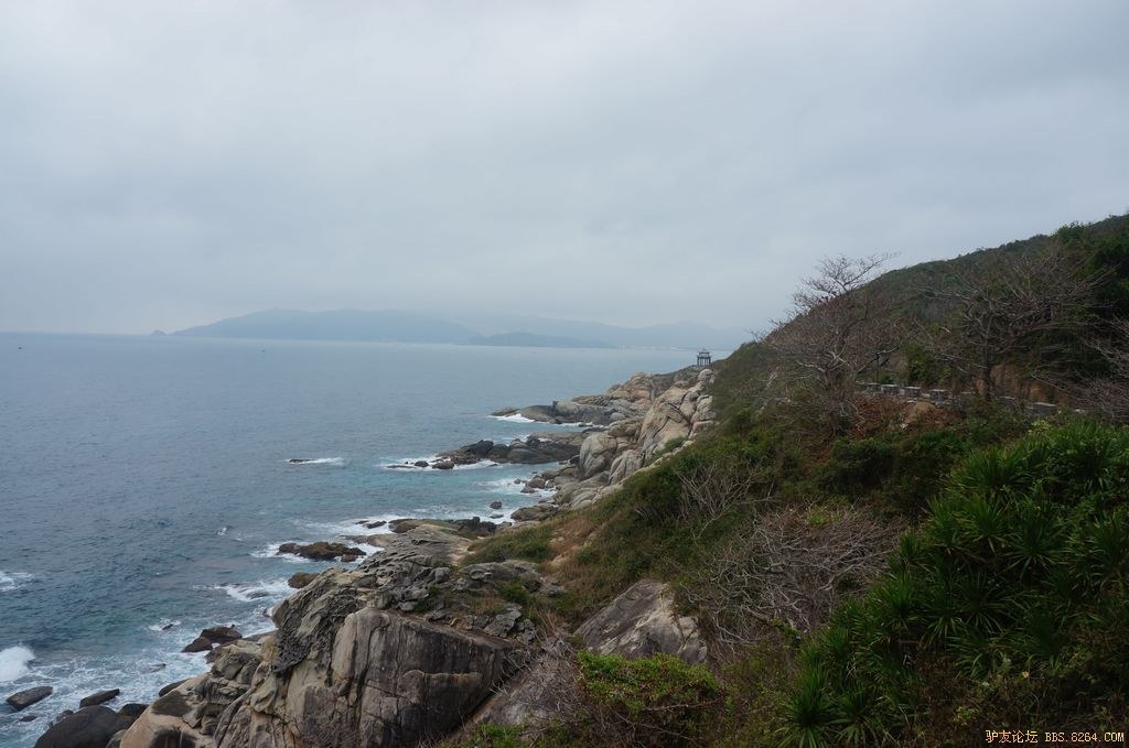 DSC05887.jpg