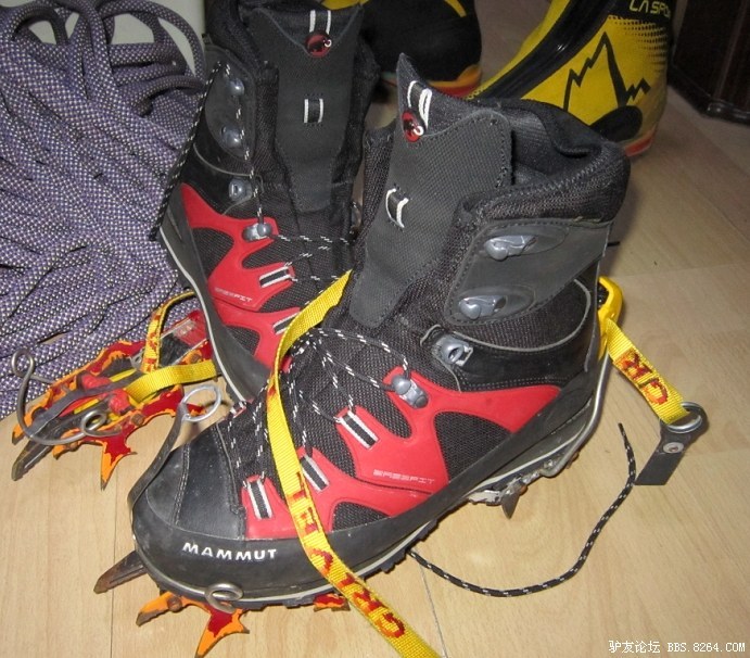 Mammut��������