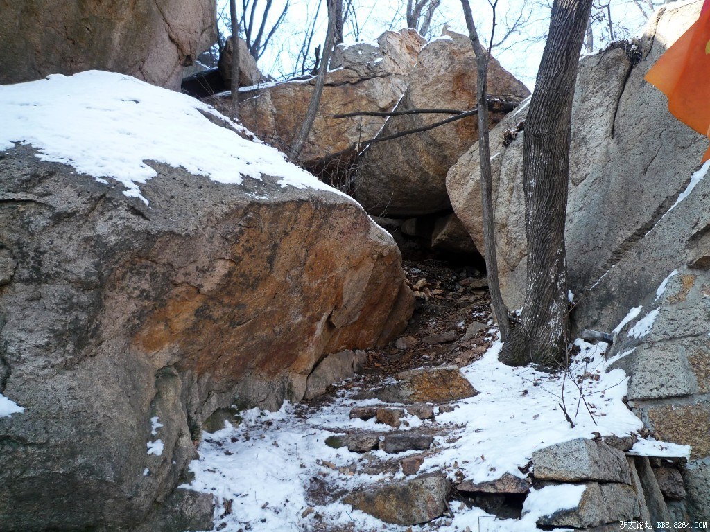 conew_p1190618.jpg
