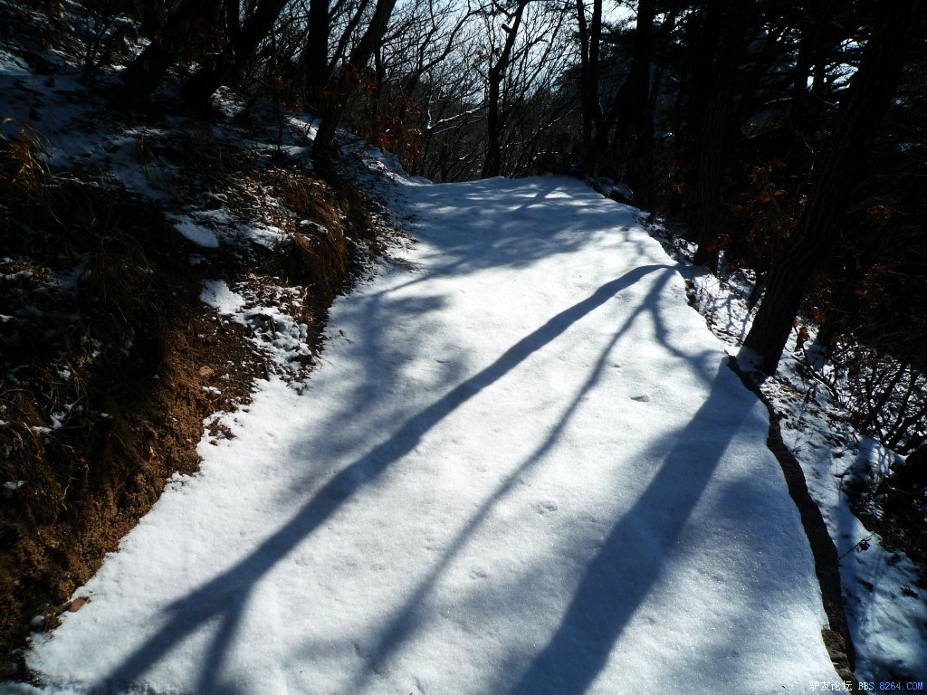 conew_p1190592.jpg