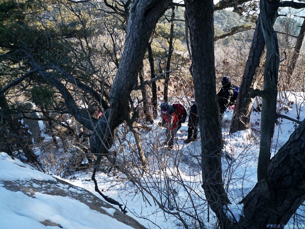 conew_p1190609.jpg