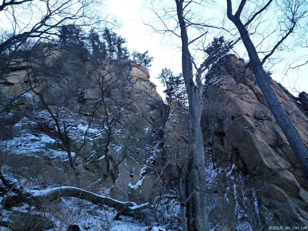 conew_p1190589.jpg