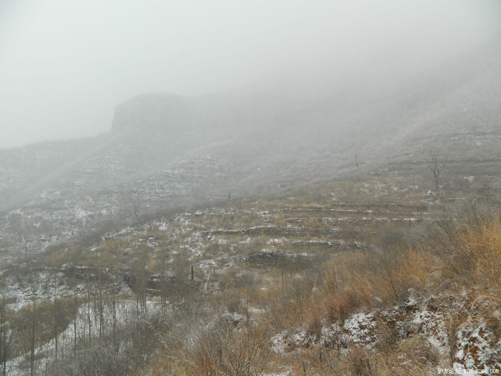 2012���� 176.jpg