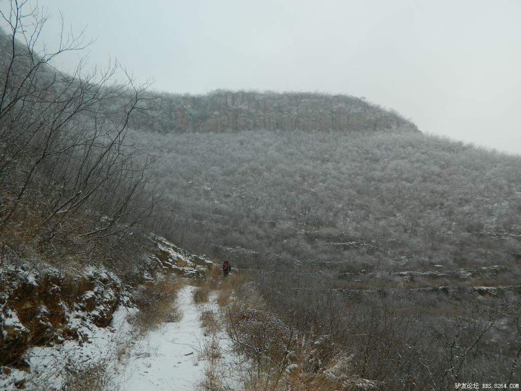 2012���� 181.jpg
