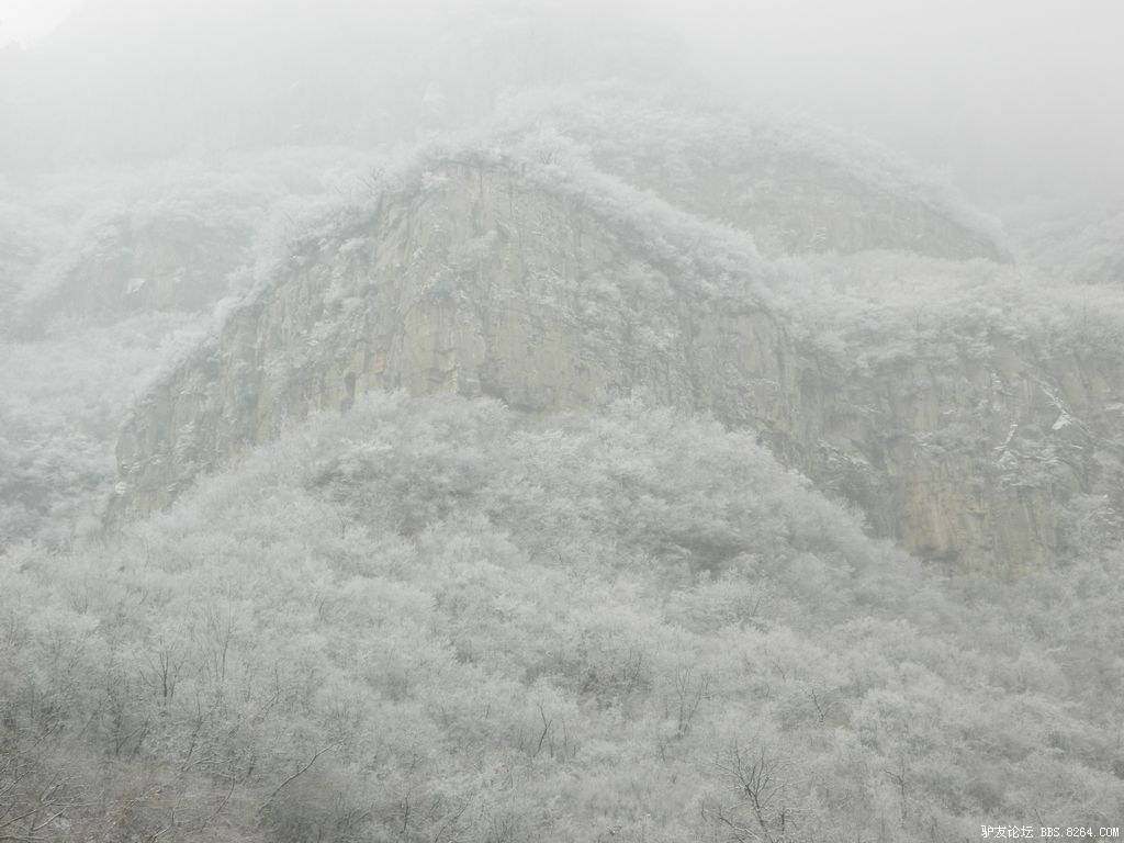 2012���� 183.jpg