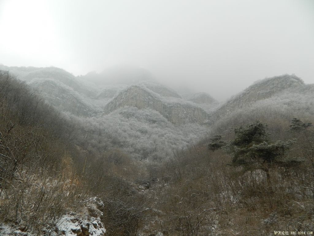 2012���� 187.jpg
