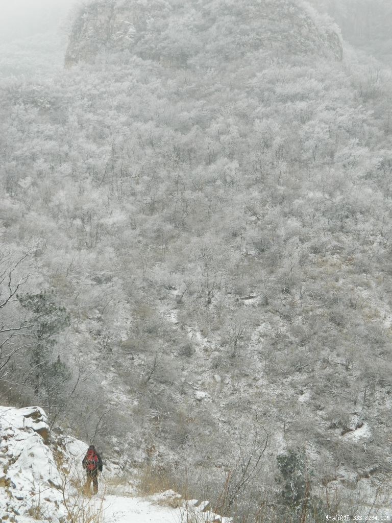 2012���� 191.jpg