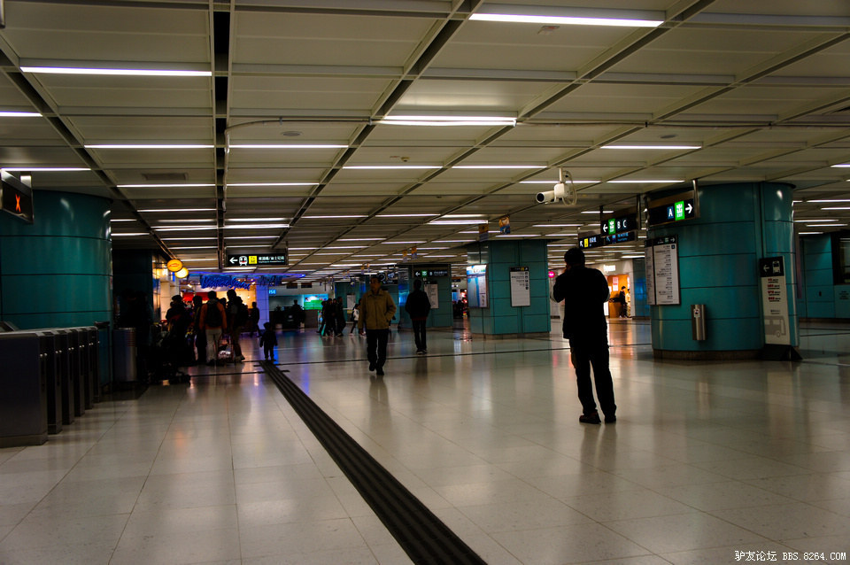 DSC03959-1.jpg