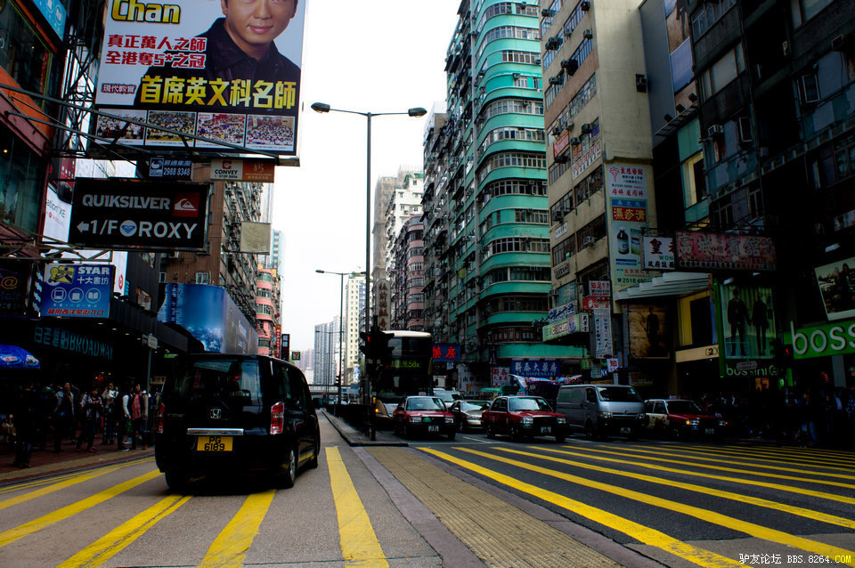 DSC03962-1.jpg
