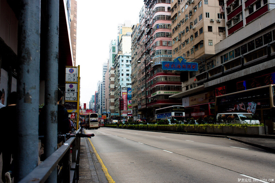 DSC03971-1.jpg