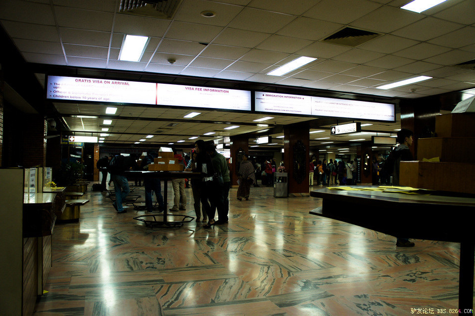DSC03984-1.jpg