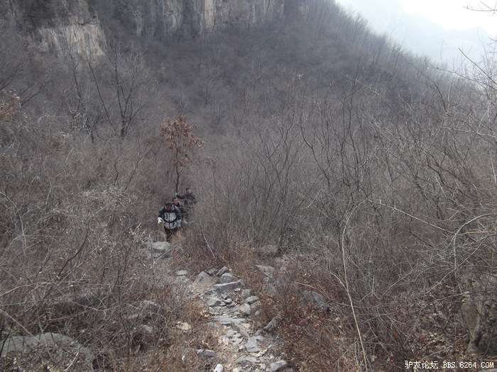 DSCF3763.jpg