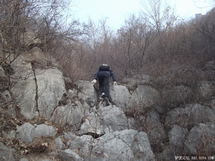 DSCF3762.jpg
