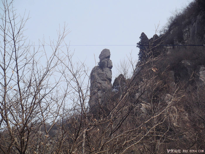 DSCF3769.jpg