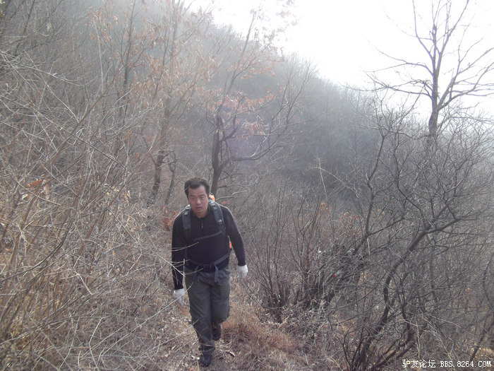 DSCF3770.jpg