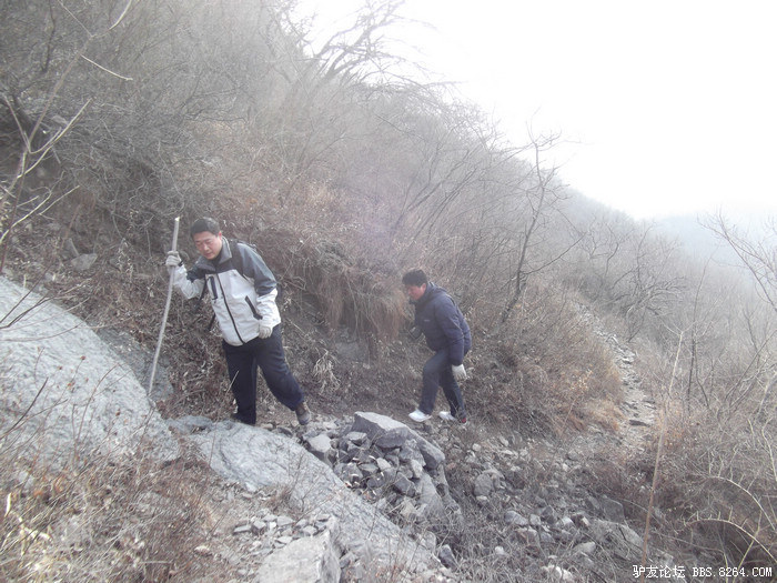 DSCF3776.jpg