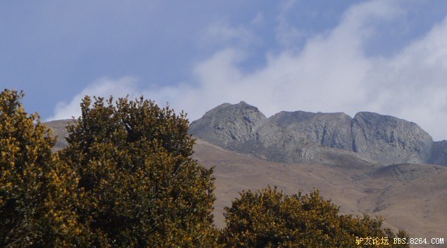 111.jpg