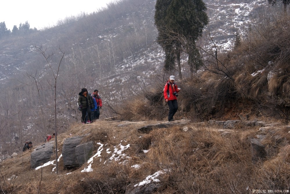 DSC08703.jpg