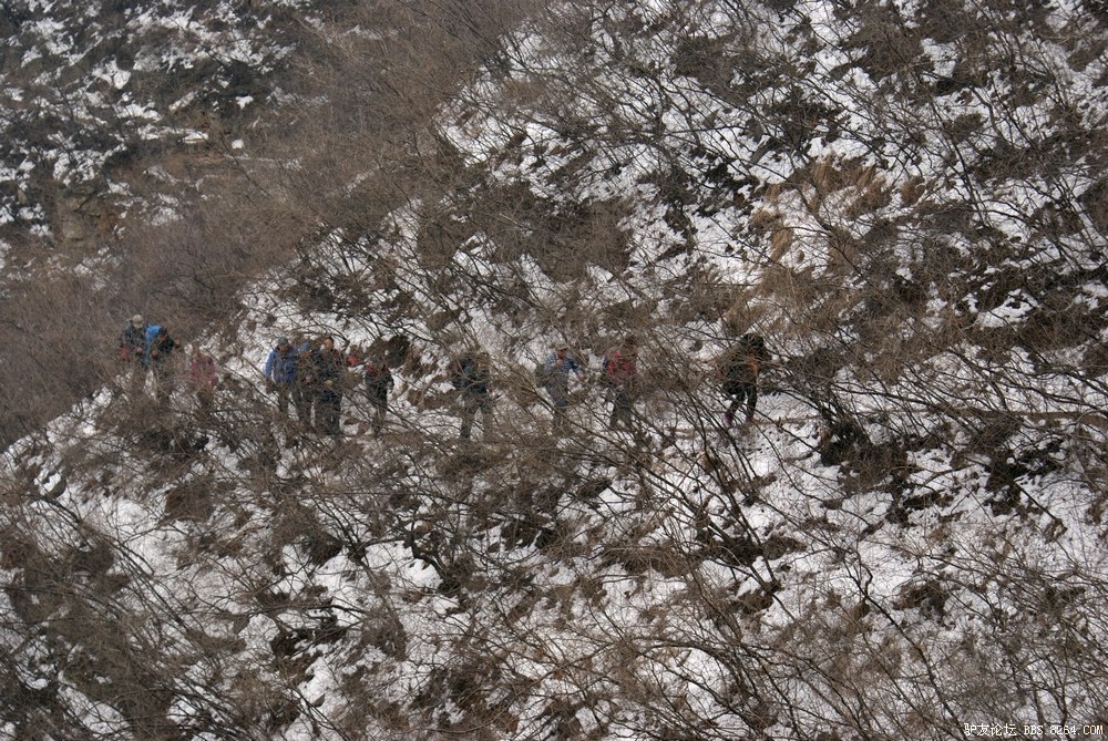 DSC08706.jpg