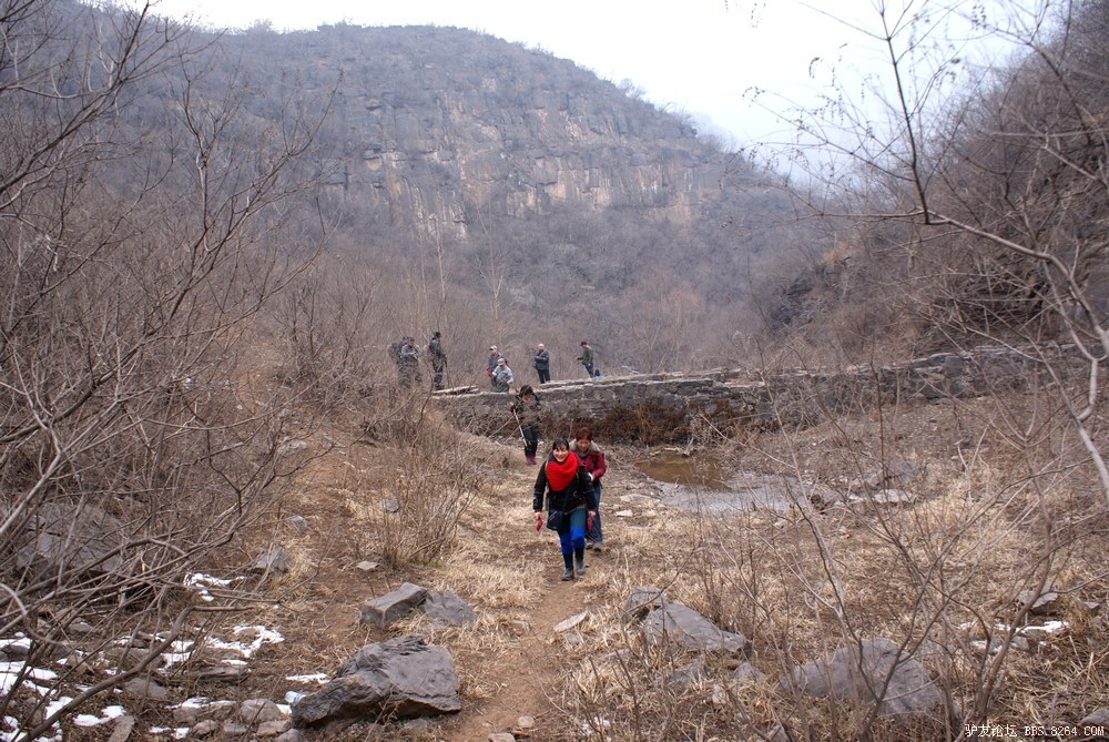 DSC08709.jpg
