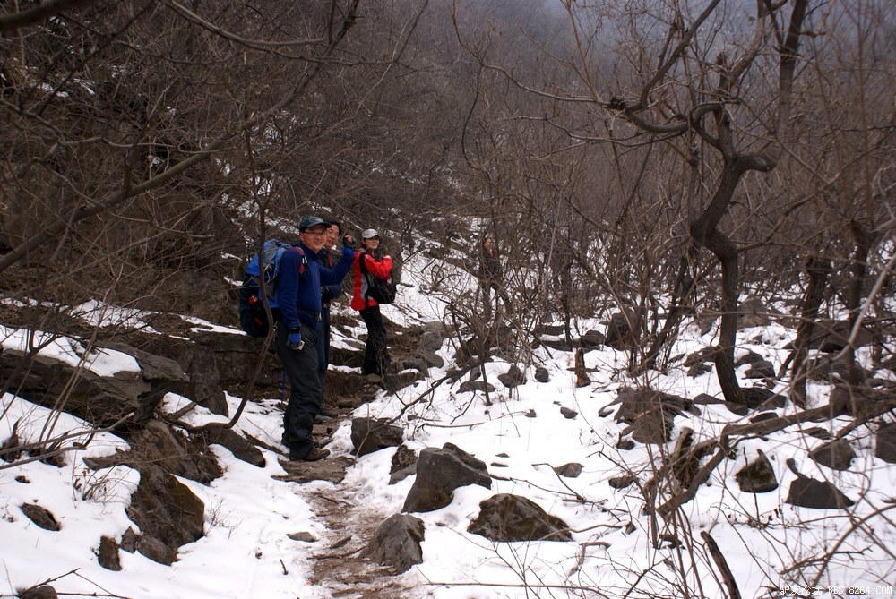 DSC08710.jpg