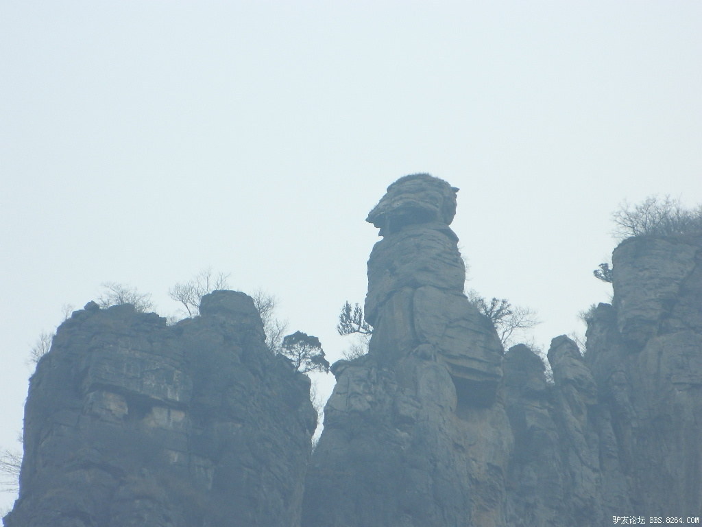 2012Ԫ�� 015.jpg